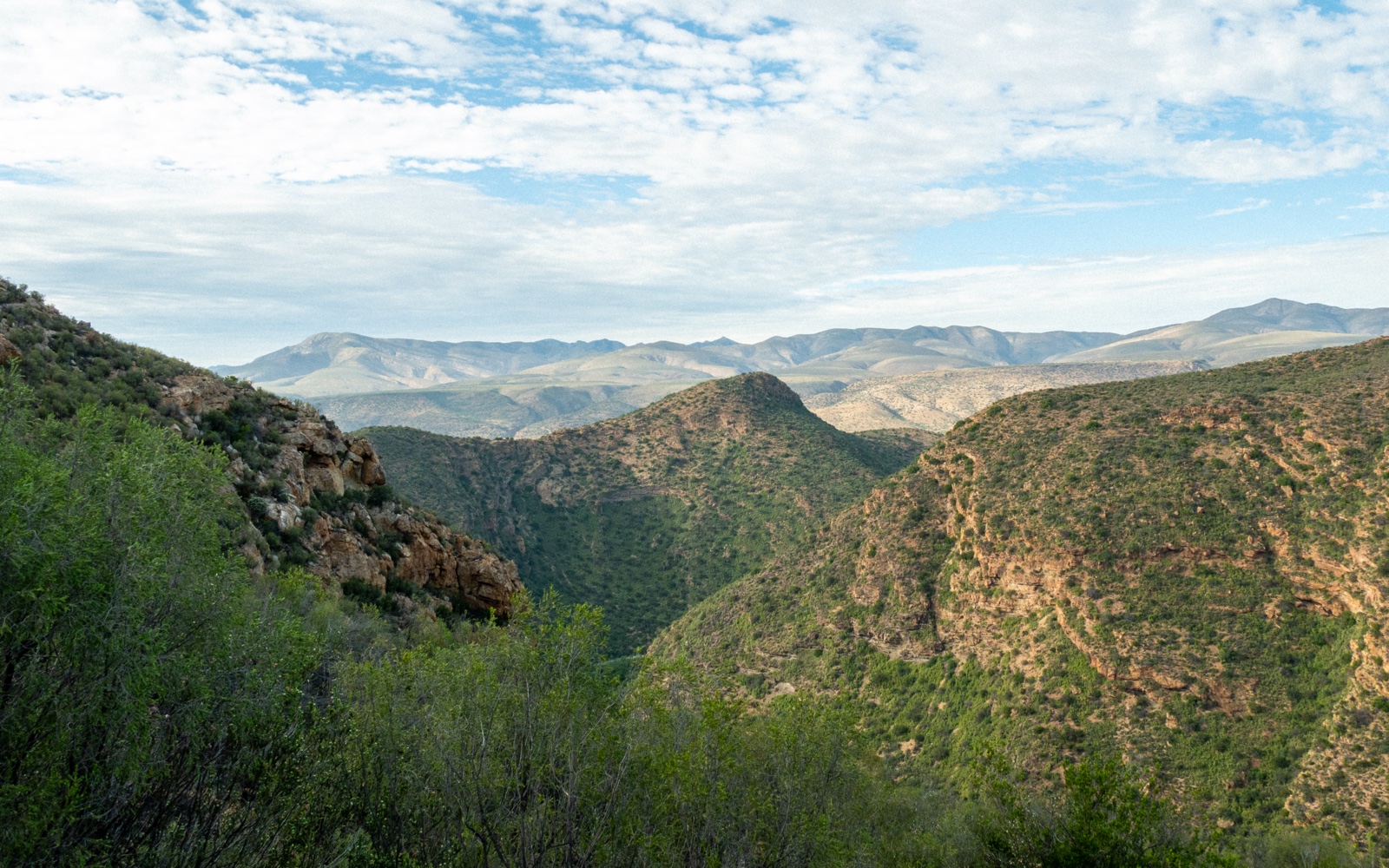 A mountainous corridor landscape in South Africa's Eastern Cape
